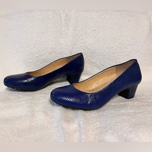 NWT Michelle D blue Heels
